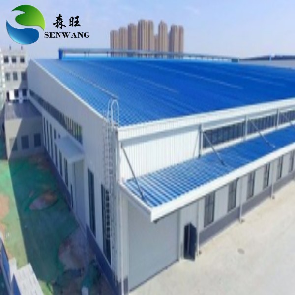 Custom Steel Structure Warehouse Building with Wind Snow Resistance