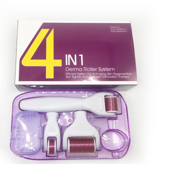 Stainless Steel/Titanium Dermaroller for Lips 4 in 1 Micro Needle Kit