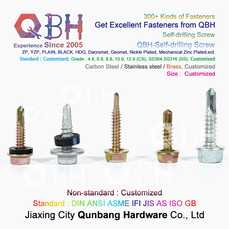 Customized Truss Wafer Head SDS Screw Qbh 304 Stainless Steel