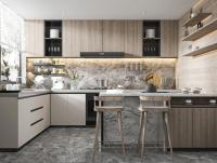 Residence Contemporary Kitchen Cabinet with Glossy Surface Lacquer Door Panel