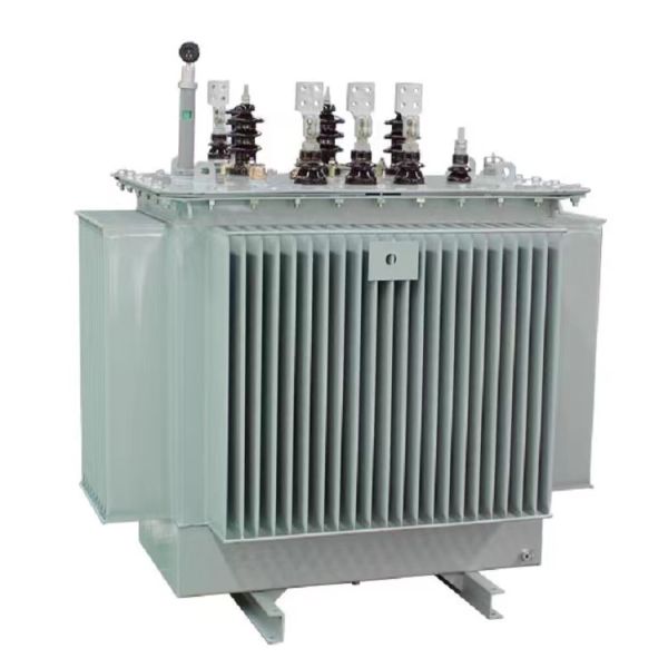 10KV Oil Immersed Transformer 25KVA~2500KVA Full Encapsulated Distribution Transformer S11 S13