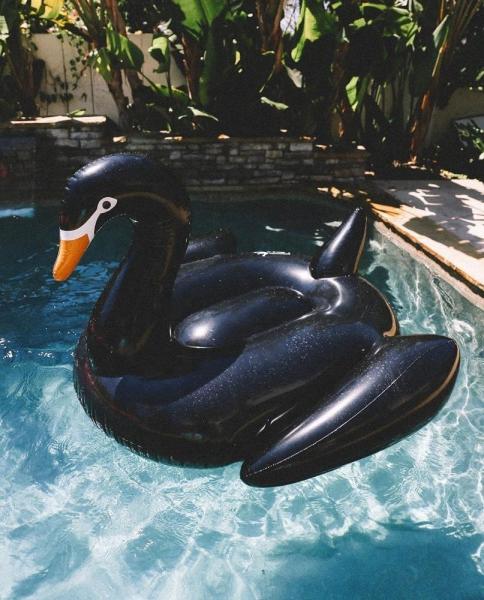 Unicorn Flamingo Inflatable Beach Raft Lake Inflatable Pool Swan For Adult
