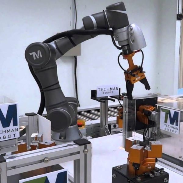 Techman Cobot Automatic Palletizing Robotic Arm 35 Kg Payload Food Beverage Chemical Carton Palletizer Wood Packaging