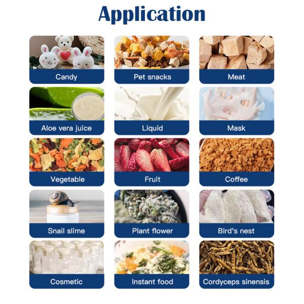 Multi-Function Lab Commercial Vegetable Snack 60KG Vacuum Freeze Dryer Lyophilizer Machine