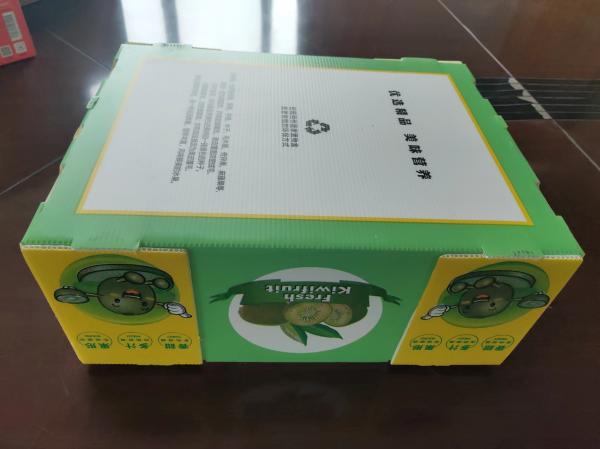 Reusable Plastic Fruit Box with Customized Capacity and Ventilation with colored printing