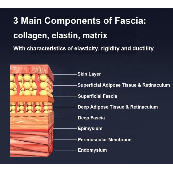 Fitdash Body Massager SUPPORT ODM/OEM for Deep Muscle Micro-Current and Red Light Therapy