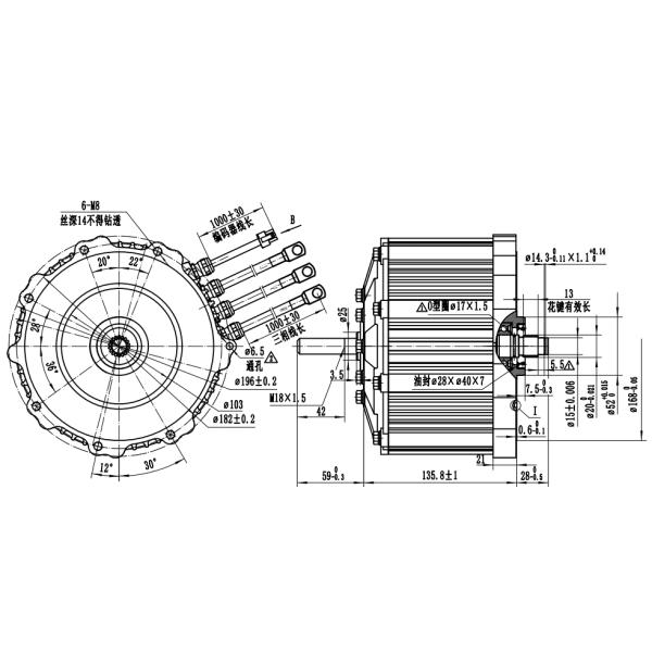 Professional Production 5kW PMSM for Electric Motorcycle