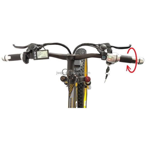 Electric Bike Fat Tire Folding 13AH SMLRO S11 26x4.0 Inch 48V 1000W Motor 7 Speed