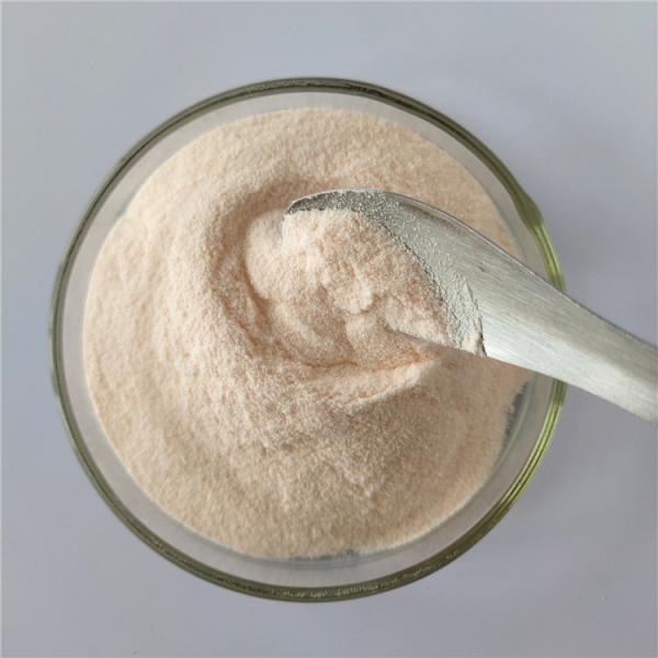 Wholesale Carica Papaya Fruit Juice Powder/Carica Papaya