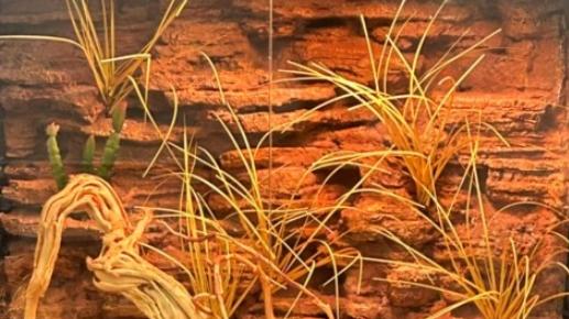 Terrarium Background Exquisite Workmanship Natural Texture PU Material
