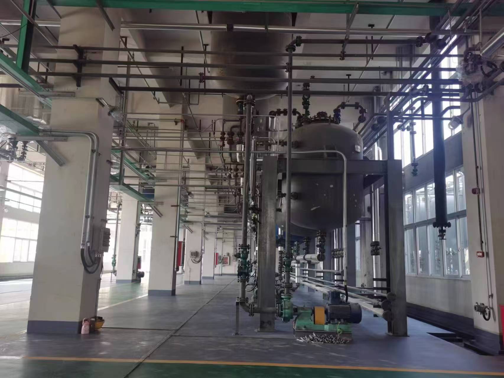 Large Organic Molecules Adsorbent Resin Food Grade Equivalent to Diaion Sepabeads Sp700