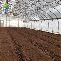 Single-span Polytunnel Plastic Film Galvanized Steel Skeleton Agricultural Tomato Greenhouse
