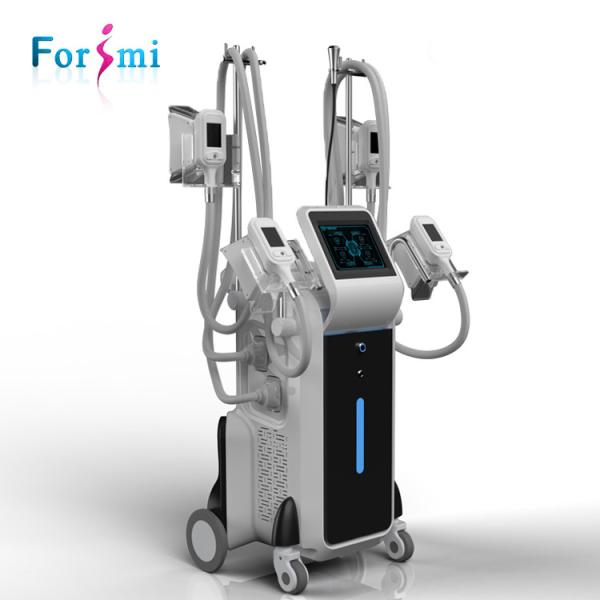 2018 Professional CE FDA approved freezing fat 4 Cryo Cryolipolisis love handles cellulite reduction