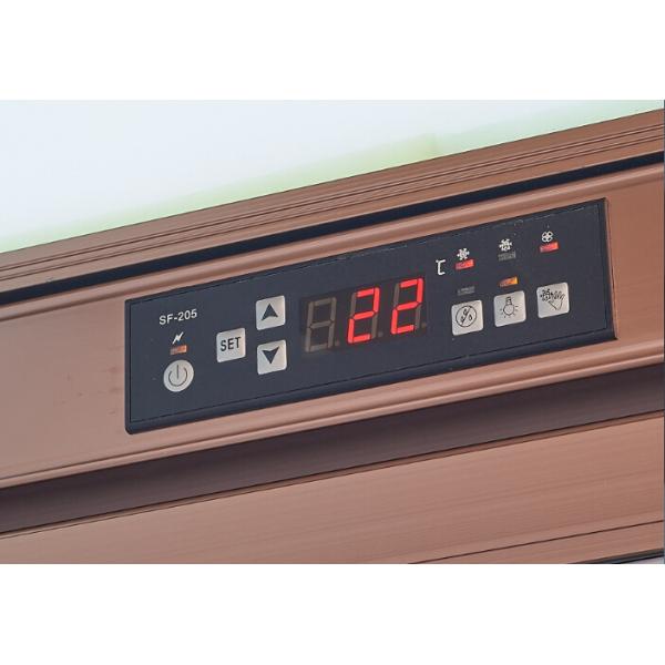 стеклянный замораживатель двери 380в с внешними компрессором/вертикально морозильником