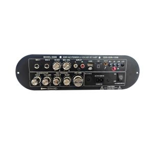 D800 Professional 2.0 Channel Bluetooth Digital Amplifier Board 12V Rechargeable High Power for DJ/Karaoke