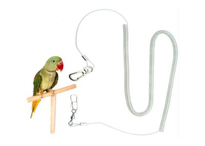 Stretchy Coiled Safety Lanyard Rope String Retractable Transparent Clear Strap Holder