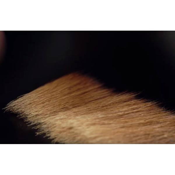 100% щетки искусства ногтя волос соболя Колинскы, форма овала щетки ногтя Колинскы соболя