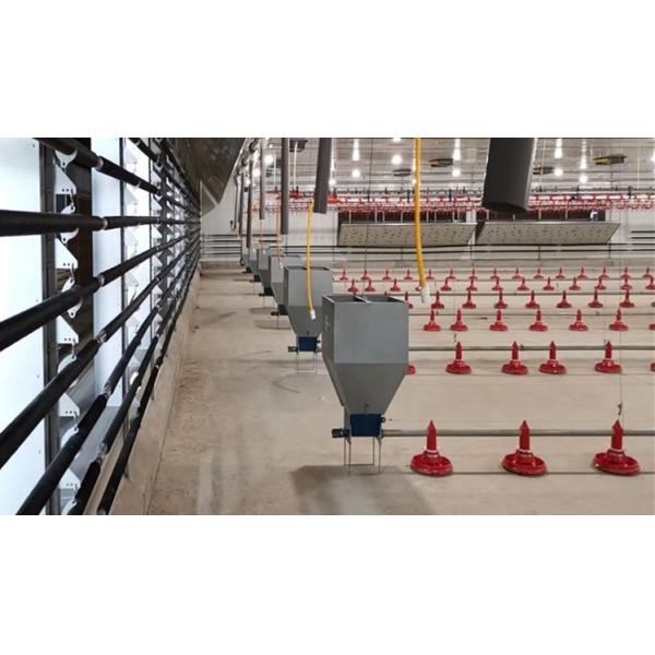 Птица системы цепи автомата питания бройлера питаясь