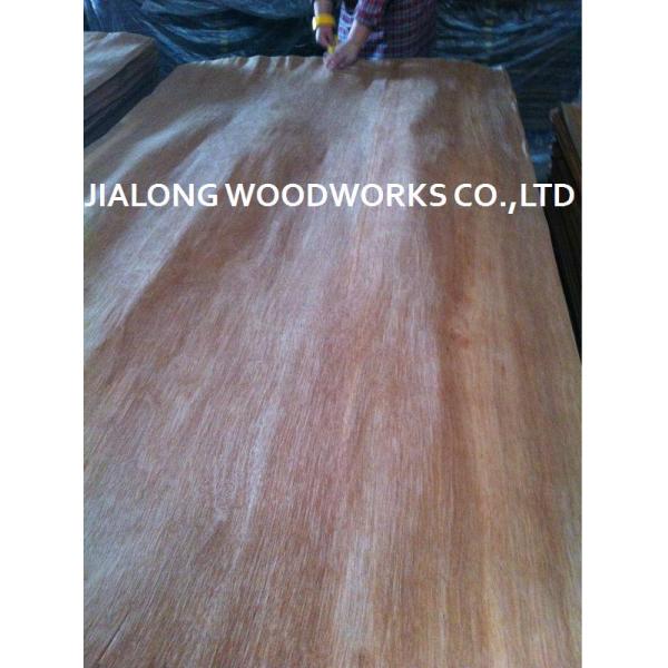 Лист облицовки стороны деревянного роторного отрезка Gurjan естественный для переклейки