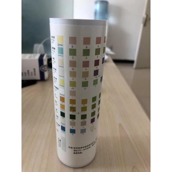 Urinalysise Test Strip Dry Chemical Method Urine-H-11 Urine-H-10 Urine-H-8