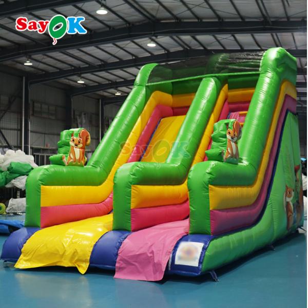 Inflatable Swimming Pool Slide PVC Combo Inflatable Slide and Pool Giant Inflatable Slide Bouncer for Sale
