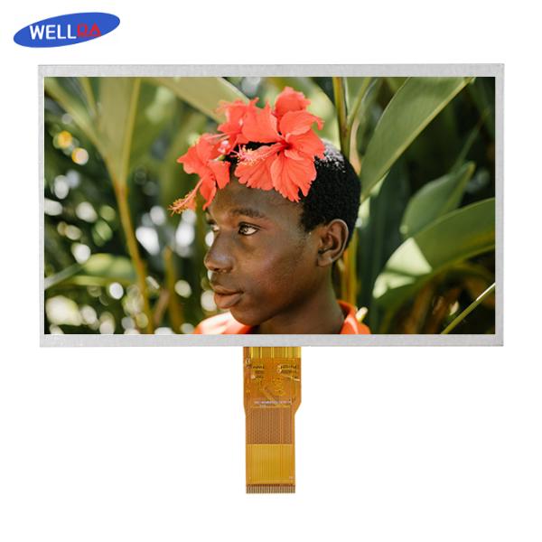 Нормально белый модуль дисплея LCD интерфейс RGB панели LCD 10,1 дюймов 6 часов
