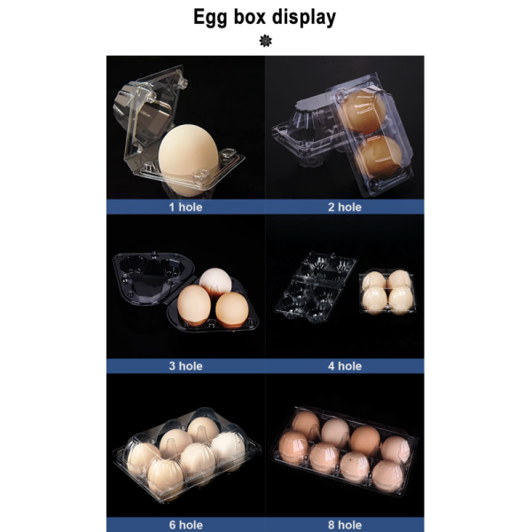 Transparent Plastic Egg Trays Egg Box Free Shipping Plastic Egg Tray with Handle Hot Selling Lightweight Portable Egg Carrier Durable 28/30-Egg Trays Handheld Blister PET Plastic High Visibility Egg