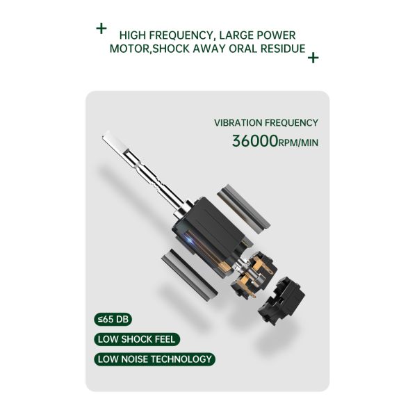 Sonic Electric Toothbrush with 36000RPM Vibration IPX 7 Waterproof and 1 Year Warranty for Deep Cleansing