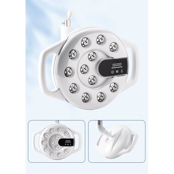 Dental Surgical LED Lamp for Dental Chair Oral Therapy Lamp12pcs Dual-color LED Dental Light