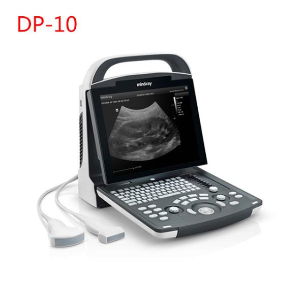 Portable B Ultrasound Scanner DP-10 Black And White Medical Equipment