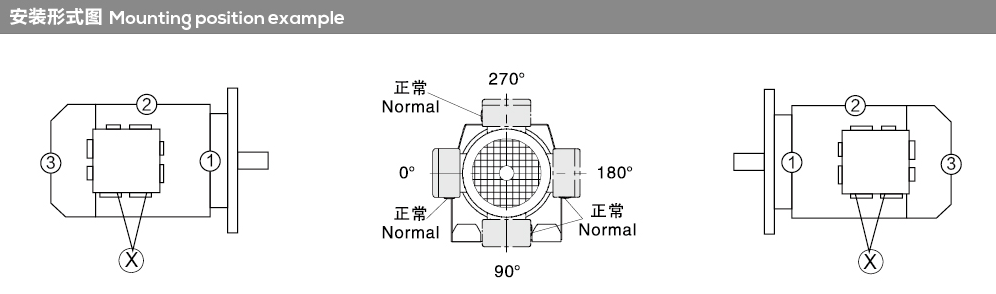 ERX Series Inline Helical Gear Motor