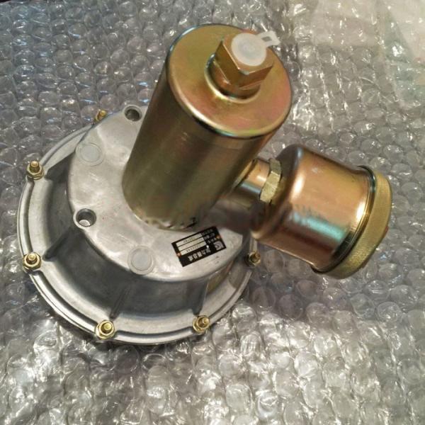 Насос подкачки воздуха конденсатора 13C0546 запасных частей затяжелителя колеса LGMC