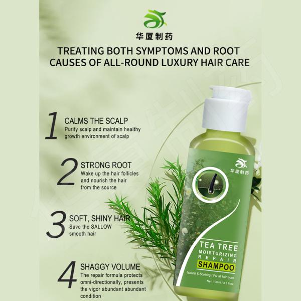 Private Label Pure Natural Organic Hair Repairing Conditioner Tea Tree Oil Shampoo And Conditioner