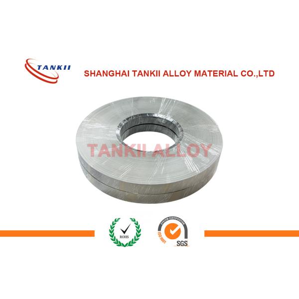 прокладка термопары алюмеля хромеля 0.3мм*25мм для плоского терминала лопаты Пин