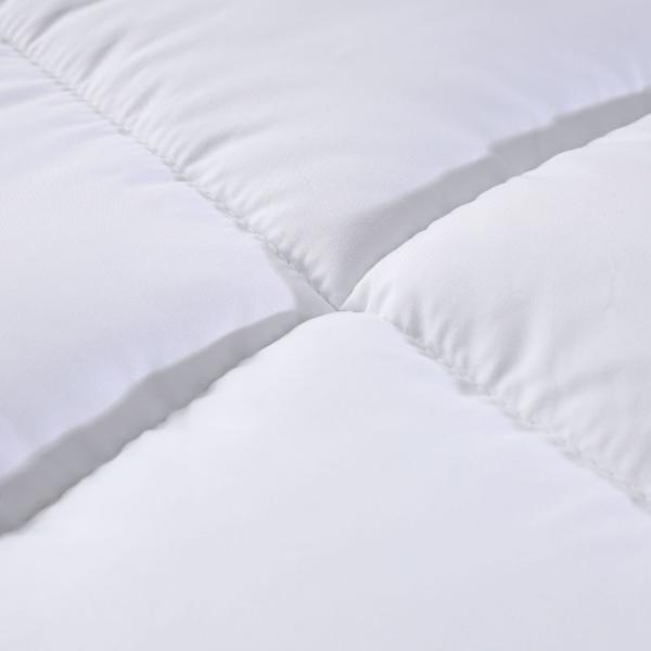 Hilton Duvet Double Spring Autumn Winter Quilt Core and Hot Style for Micro-Business