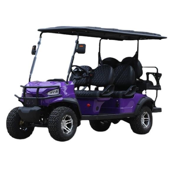 2400mm Wheelbase Sale GCC Cargo Atv Basket For Golf Cart Golf Board Cycle Board Scooter