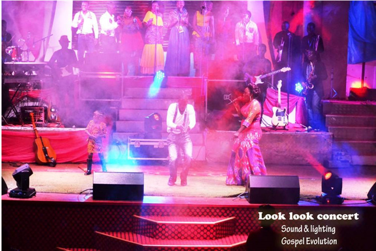 Active / Passive Monitor Speakers Line Array Sound Equipment Live Event Show Monitoring System