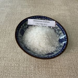ammonium sulfate 21 0 0 granular fertilizer 25kg Granular (NH4) 2so4 Whith Price