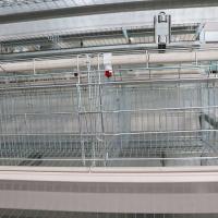 Ajustando o sistema automático da gaiola de bateria, gaiola de aço enriquecida do fio para a galinha