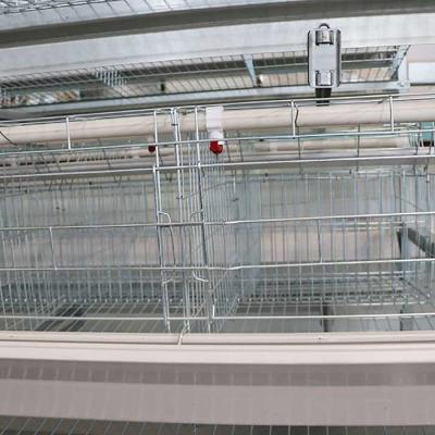 Ajustando o sistema automático da gaiola de bateria, gaiola de aço enriquecida do fio para a galinha
