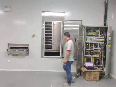 congelador espiral industrial da correia de 500kg/H 750kg/H 145 quilowatts para o fruto