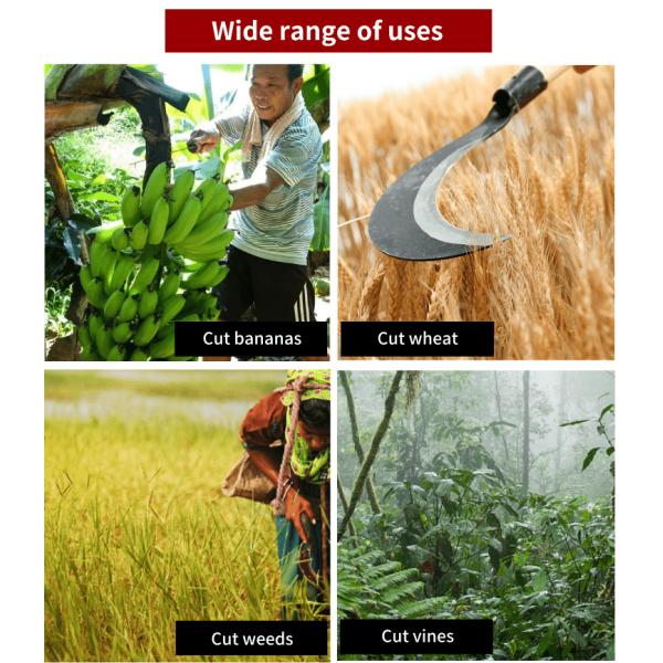 Rice Long Handle Steel Harvesting Sickle Farming Sickle Tool Quenching 9.6 Inch