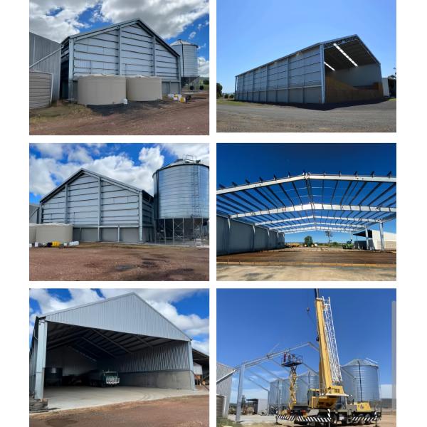 30000 Aves de corral completas grandes pollos de engorde cobertizo de pollo casero automático de pollo alimentación planta de bebida