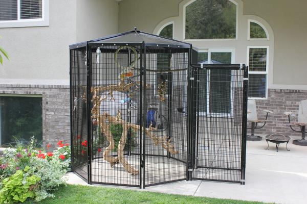 Welded Wire Lifestyle Deluxe Metal Bird Aviary Powder Coated Black Color