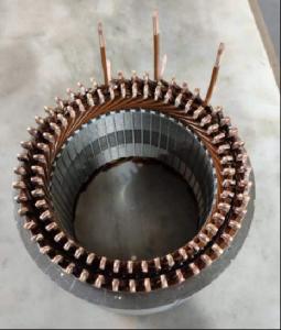 Customzation Bldc Motor Two Wheeler Stator Production Line For Insertion