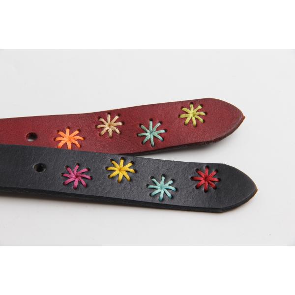 Дамы Fashional женщин уменьшают кожаные поясы с красочный шить