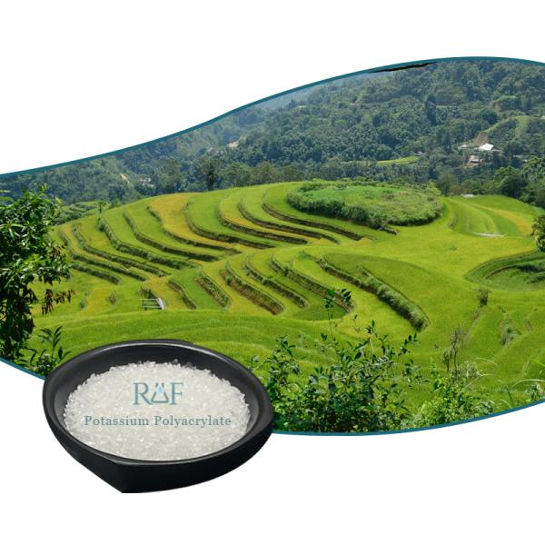 208-750-2 SAP Potassium Polyacrylate Super Absorbent Polymer 9003-04-7 Odorless Realfine 99.9%