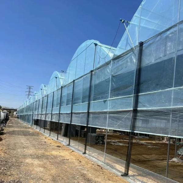 Vegetable Production Po Film Greenhouse with Water Pipe System and Low Shipping Cost