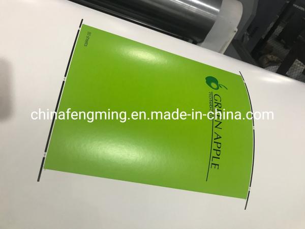 High Versatility Automatic Flexo Printing Machine 1/8cp Gearing 1000mm Width