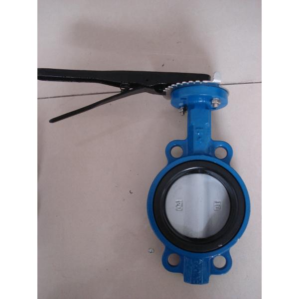 ISO & CE Certificate ANSI Class 125 / 150 Wafer Butterfly Valve Disc Coated Nylon